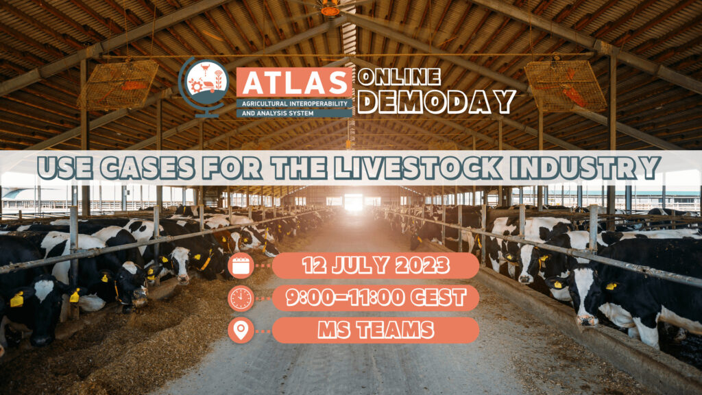 atlas-devhouse-demoday-research
